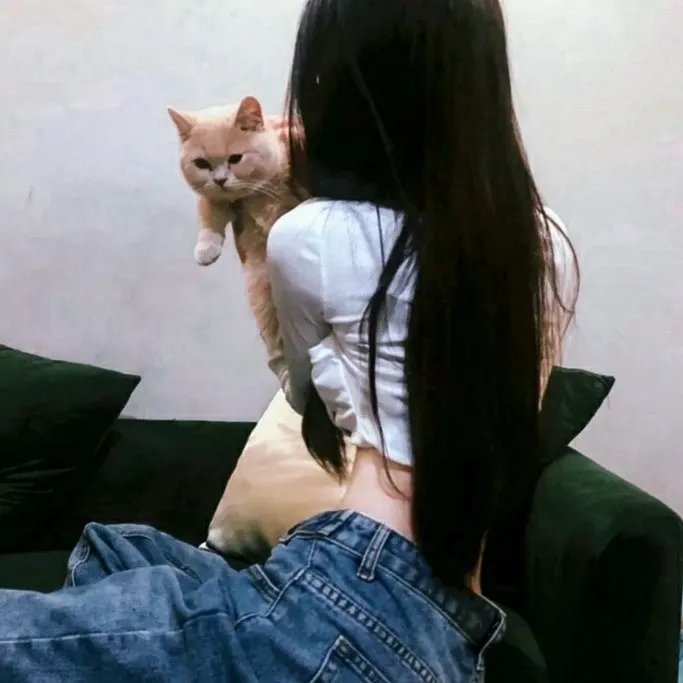 妙婿向钱冲