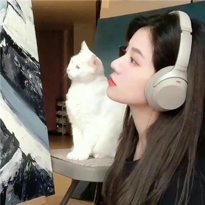 第十圈